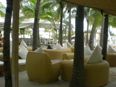 Enlarge photo 57