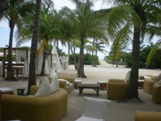 Enlarge photo 58