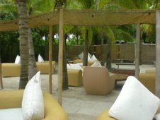 Enlarge photo 59