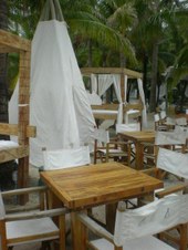 Enlarge photo 62