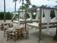 Enlarge photo 63