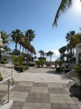 Enlarge photo 128