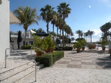 Enlarge photo 129