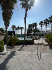 Enlarge photo 132