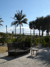 Enlarge photo 146