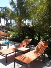Enlarge photo 234