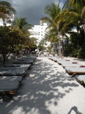 Enlarge photo 107