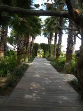 Enlarge photo 166