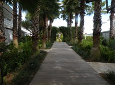 Enlarge photo 167