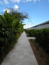 Enlarge photo 170