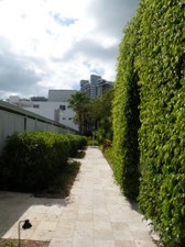 Enlarge photo 222