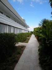 Enlarge photo 223