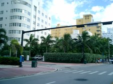 Enlarge photo 78