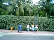 Enlarge photo 82