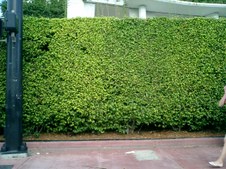 Enlarge photo 94