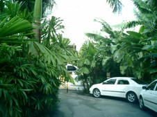 Enlarge photo 79