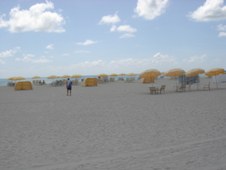 Enlarge photo 45