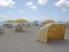 Enlarge photo 46
