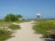 Enlarge photo 63