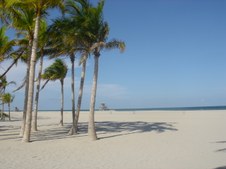 Enlarge photo 71