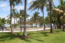 Enlarge photo 97