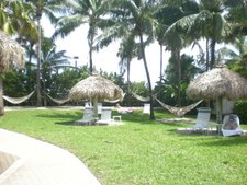 Enlarge photo 50