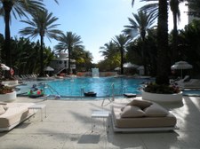 Enlarge photo 58