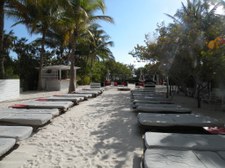 Enlarge photo 64
