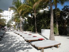 Enlarge photo 67