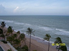 Enlarge photo 113