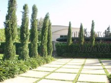 Enlarge photo 109