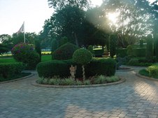 Enlarge photo 50