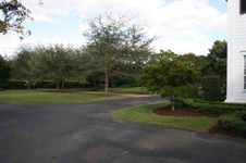 Enlarge photo 286