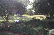 Enlarge photo 299