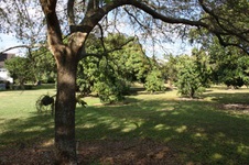 Enlarge photo 308