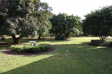 Enlarge photo 311