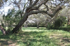 Enlarge photo 265