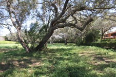Enlarge photo 269