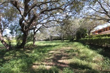 Enlarge photo 270