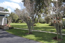 Enlarge photo 156