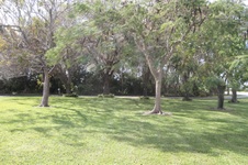 Enlarge photo 167