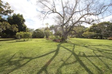 Enlarge photo 184