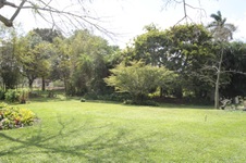 Enlarge photo 186