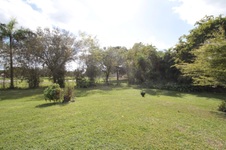 Enlarge photo 187