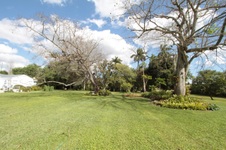 Enlarge photo 193