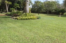 Enlarge photo 195