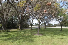 Enlarge photo 197