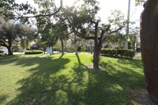 Enlarge photo 90