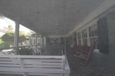 Enlarge photo 59