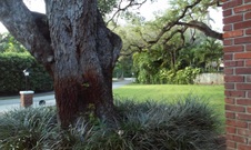 Enlarge photo 152